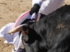 sanse2011-14