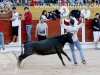encierro-guada19
