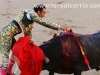 toros-adolfo19