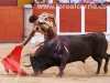 toros-guada11