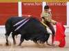 toros-guada26