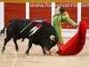 toros-guada31