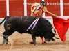 toros-guada14