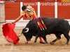 toros-guada15