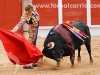 toros-guada19