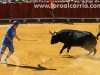 toros-yunquera04