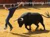 toros-yunquera22