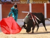 toros-guada07