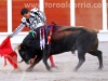 toros-guada14