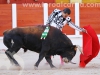 toros-guada15