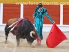 toros-guada23