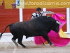 toros-guada26