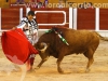 toros-guada31