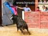 torrejoncillo13