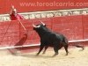 Toros-Trillo05