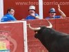 Toros-Trillo06