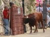 Toros-Trillo14