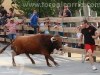 Toros-Trillo19