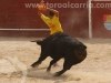 Toros-Trillo24