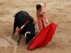 toros_trillo07