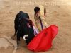 toros_trillo12