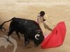 toros_trillo14