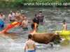 vacas-tajo50