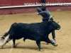 capea-valdemorillo22