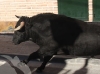 valdemorillo19