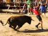 Toros_Valfermoso_10