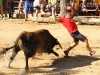 Toros_Valfermoso_12