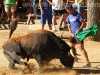 Toros_Valfermoso_15