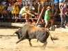 Toros_Valfermoso_20