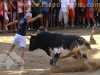 Toros_Valfermoso_29