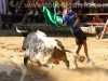 Toros_Valfermoso_31