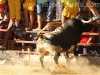 Toros_Valfermoso_35