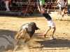 Toros_Valfermoso_38