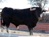 victoriano39
