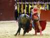 arganda48