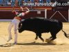 Toroalcarria16