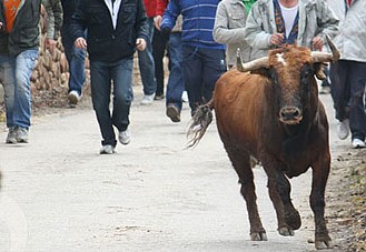 Encierro domingo Ciudad Rodrigo