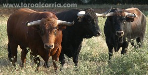 Toros para Brihuega 2011