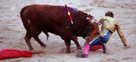 Novillada en Las Ventas