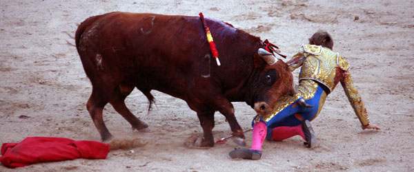 Novillada en Las Ventas