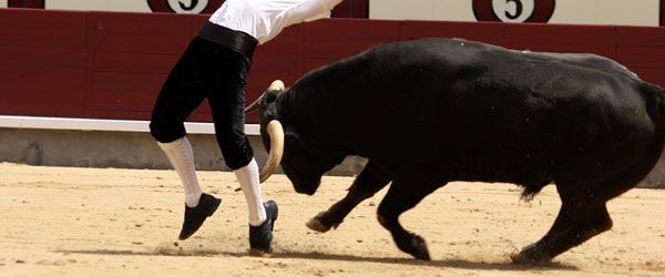 Recortes de leyenda