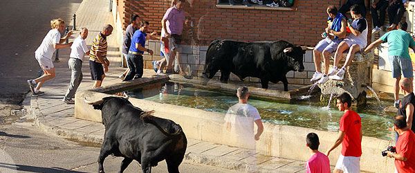 Encierro del Pilón