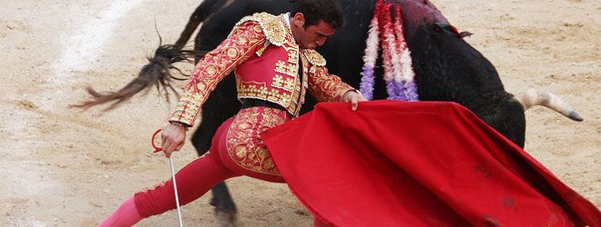 Toros en Trillo