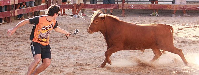 Gárgoles de Abajo