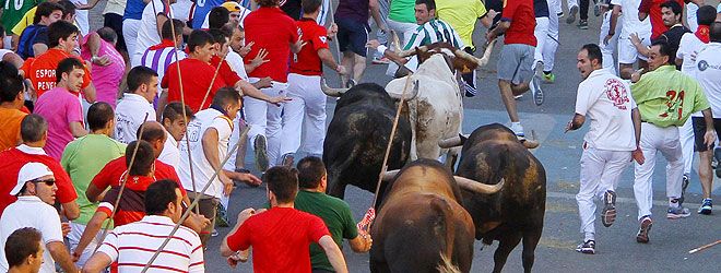 Encierro Brihuega 2014