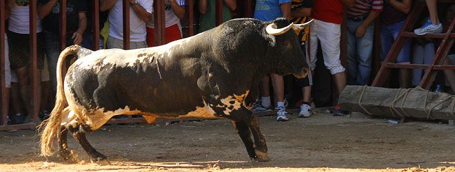 toros Valfermoso